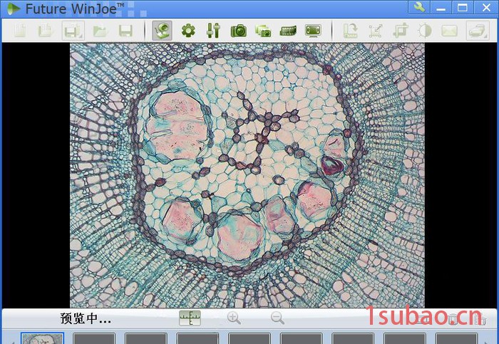 MD300 带耦合镜头的显微镜USB数码电子目镜