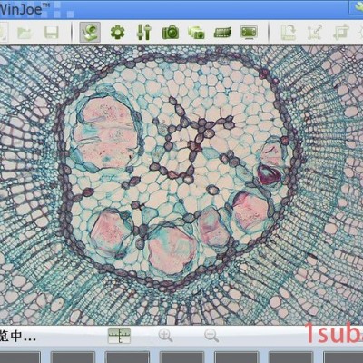 MD300 带耦合镜头的显微镜USB数码电子目镜