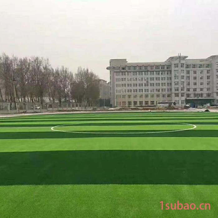 重庆仿真草坪批发 重庆安全密目网批发重庆遮阳网批发重庆盖土网批发图3