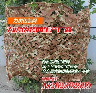 松针伪装网**打猎伪装网 *阳光房遮阳网图5