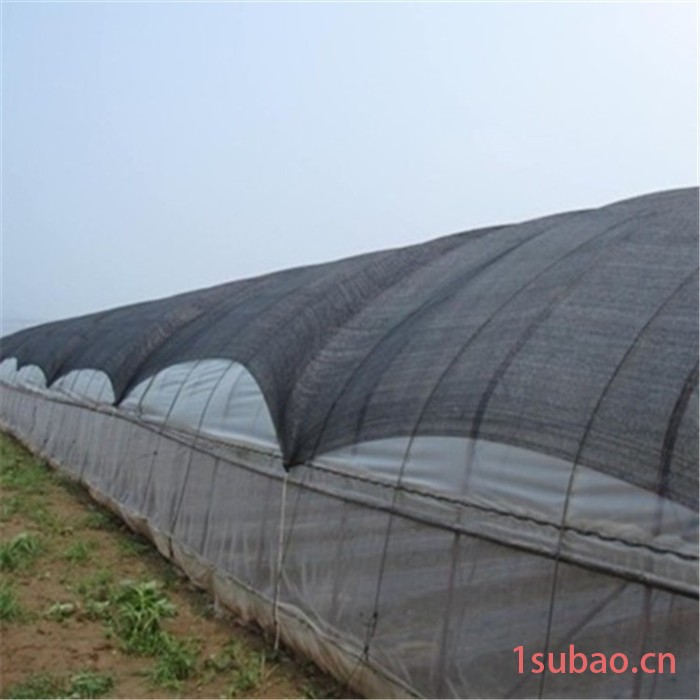 晟莱 山西 ** 黑色遮阳网 绿色盖土网 工地盖土网 农用大棚图4