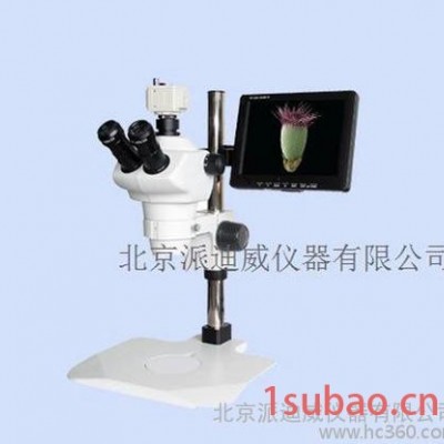 LCD-80102 立体 体视视频显微镜 既能用眼观察又能接电脑或显示屏