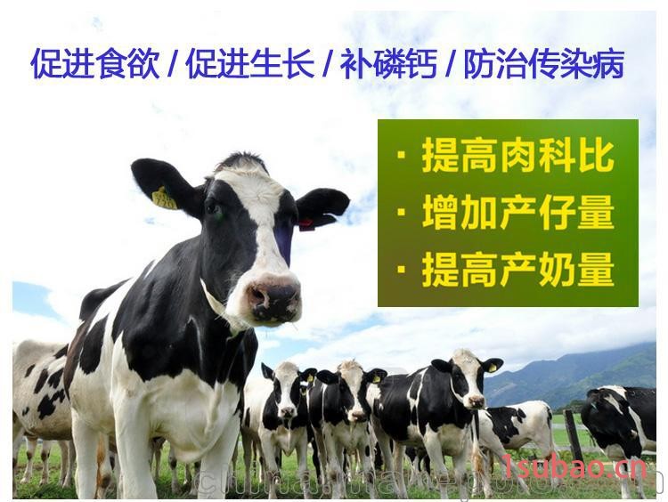河北动物生长灯_河北动物补光灯图4