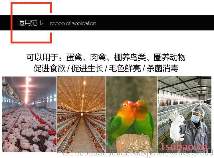 河北动物生长灯_河北动物补光灯图2