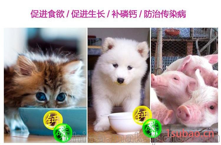 河北动物生长灯_河北动物补光灯图3