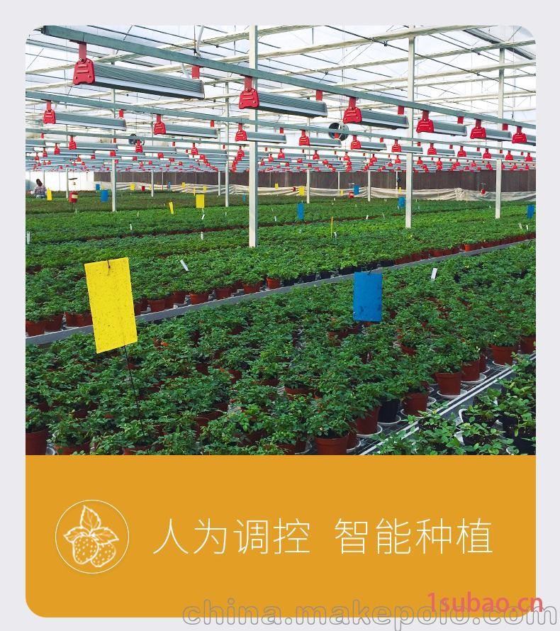 河北植物生长灯_河北植物补光灯图3
