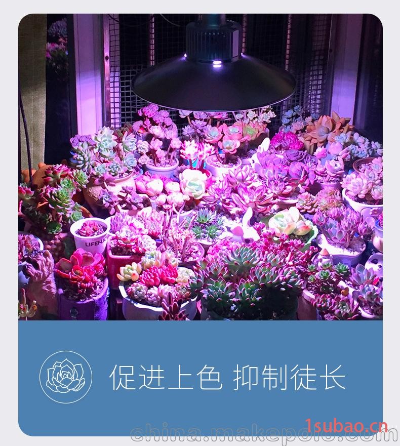 河北植物生长灯_河北植物补光灯图2