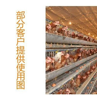 河北动物补光灯_河北动物生长灯