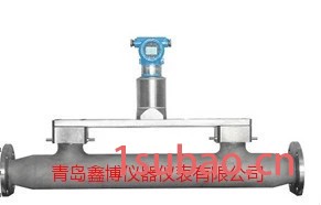 山东在线密度计 插入式密度计 单双法兰式密度计 鑫博图2
