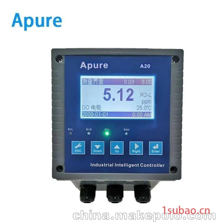 爱普尔 A20CD 型 电导/电阻率控制器，IP65 仪表144*144图2