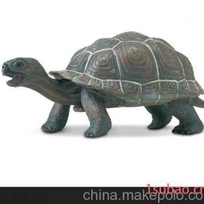 格拉帕格斯陆龟幼崽美国Safari正品动物模型玩具欧盟CE认证