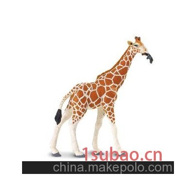 美国Safari 正品雄性长颈鹿仿真动物模型玩具CE认证