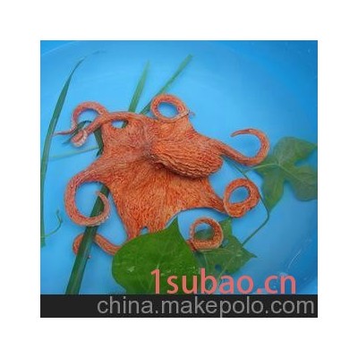 美国Safari正品巨型太平洋章鱼仿真模型玩具奇迹系列欧盟CE认证