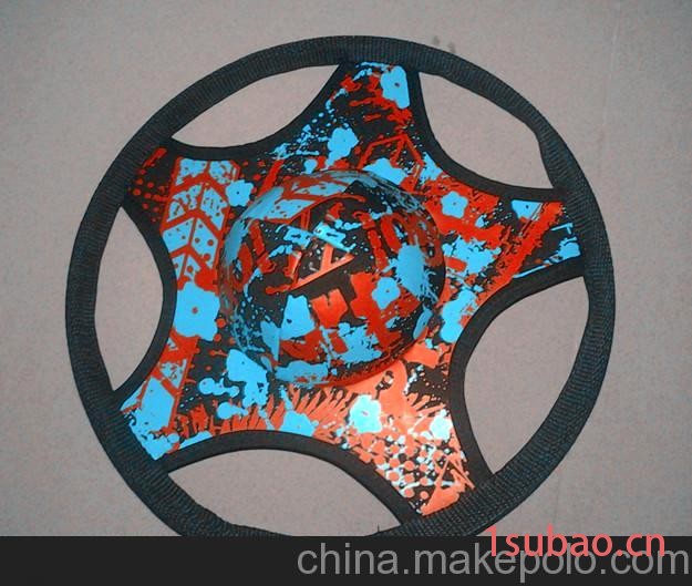专业沙滩飞盘图3