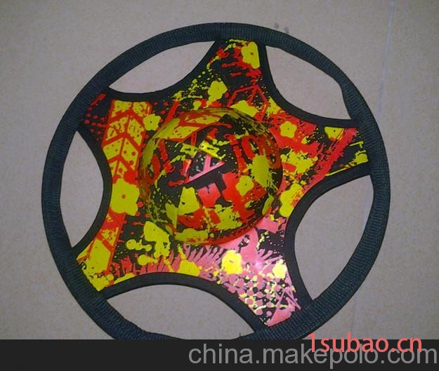 专业沙滩飞盘图2