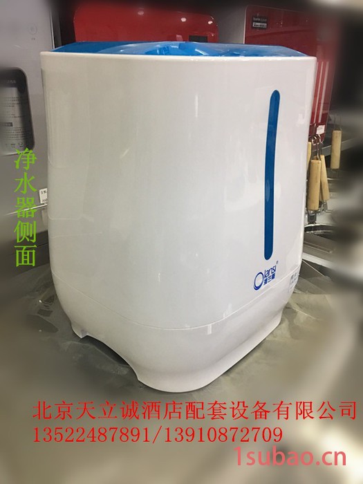 丽浦娜 卧式A1款净水器矿化直饮机便携式净水器图7