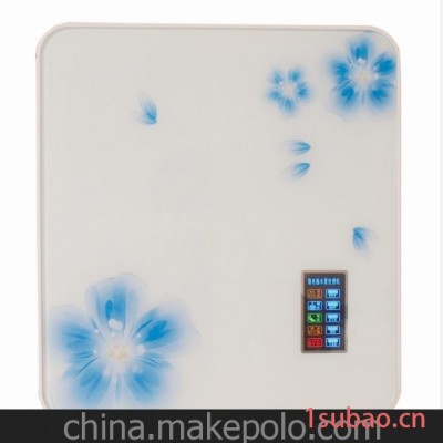 纯水机批发 净水器批发 山东净水器 壁挂式纯水机 优质品