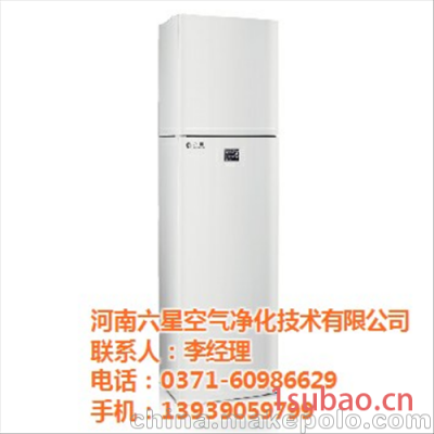 室内新风系统施工、六星空气净化(在线咨询)