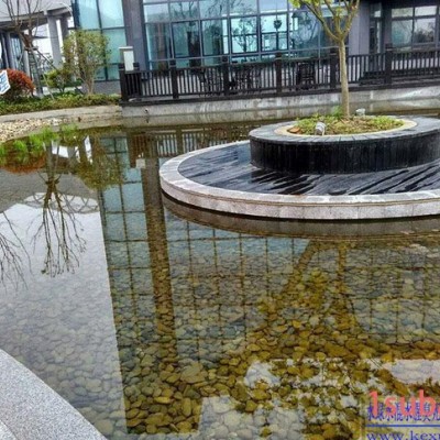 大连1500吨庭院鱼池净水设备水质一次性解决方案