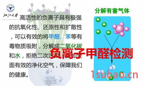 负离子空气净化器有益身心健康，2017 负离子产品检测图2