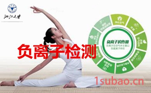 负离子空气净化器有益身心健康，2017 负离子产品检测图4