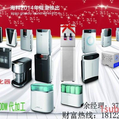 广州空气净化器OEM生产厂家   负离子空气净化器生产