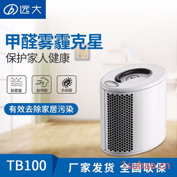 远大空气净化器家用TB100车载空气净化机除甲醛pm2.5二手烟包邮 空气净化器/氧吧图4