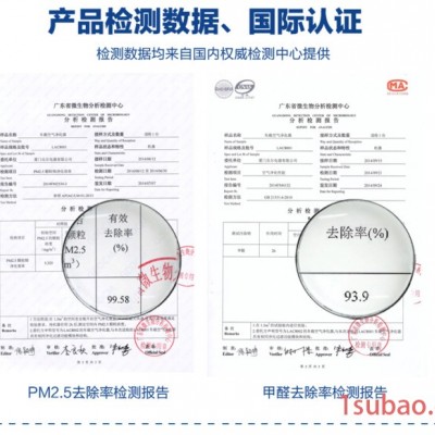 OEM汽车空气净化器/汽车氧吧