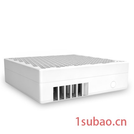 远大车载空气净化器 车用肺保迷你除PM2.5烟尘异味肺保FC3除雾霾图2