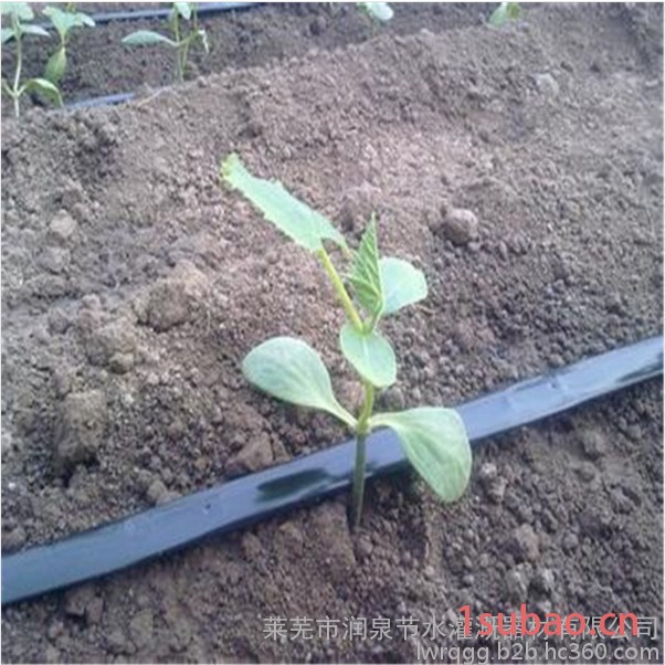 农用滴灌带贴片滴灌带 大棚膜下蔬菜果树滴灌管pe管图6