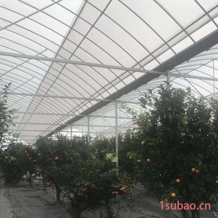 大棚管包塑 缩头 折弯 大棚卡槽卡簧 棚膜 盈浩钢管图8