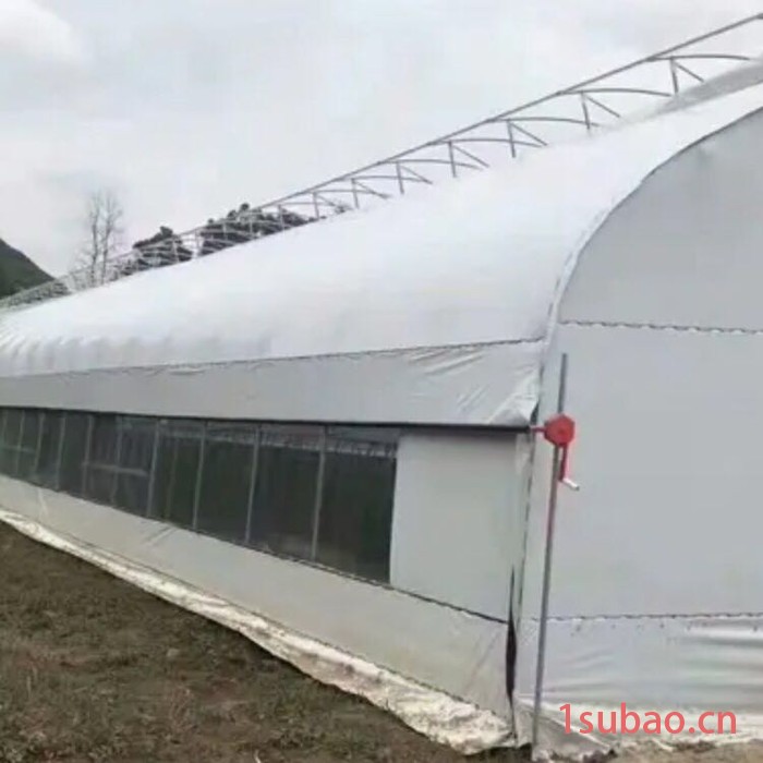 大棚管包塑 缩头 折弯 大棚卡槽卡簧 棚膜 盈浩钢管图2