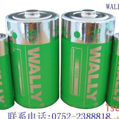 WALLY环保碱性电池,手电筒,玩具,电子礼品专用碱性电池
