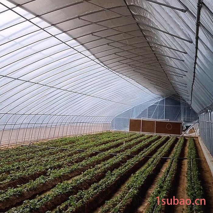 安装枣树大棚 大棚骨架 大棚配件 大棚膜 盈浩大棚管材料图4