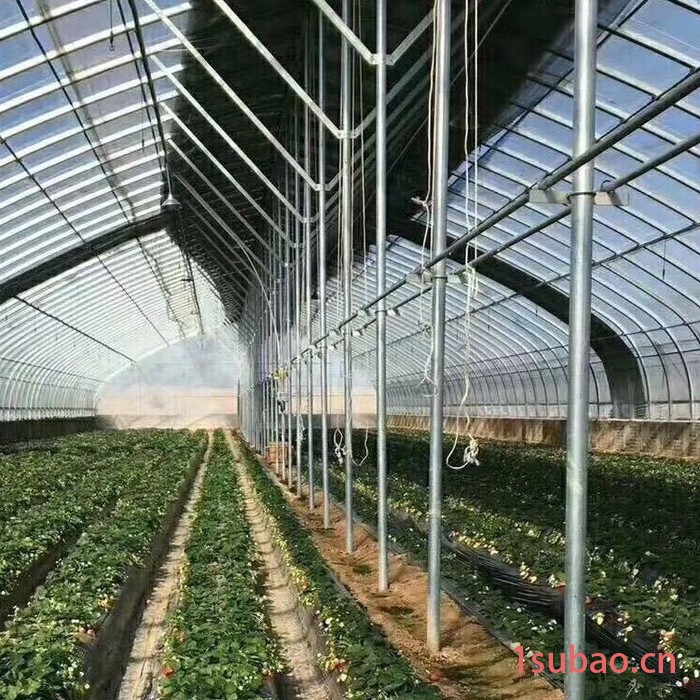 安装枣树大棚 大棚骨架 大棚配件 大棚膜 盈浩大棚管材料图5