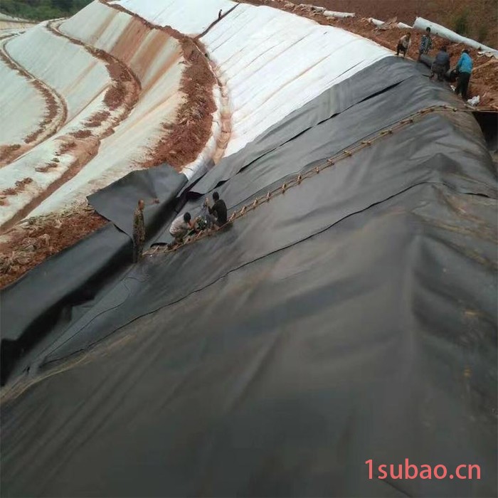 定制 加厚hdpe防渗土工膜 藕池鱼塘防水产养殖膜大棚膜及时发货图4