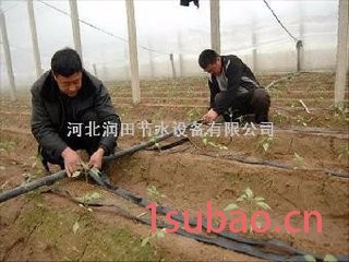山西大棚膜下喷水带 大田微喷带图4