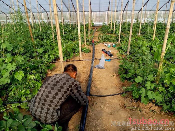 河北润田 霈泽大棚滴灌 温室草莓滴灌管厂家 大棚膜下滴灌带价格图2