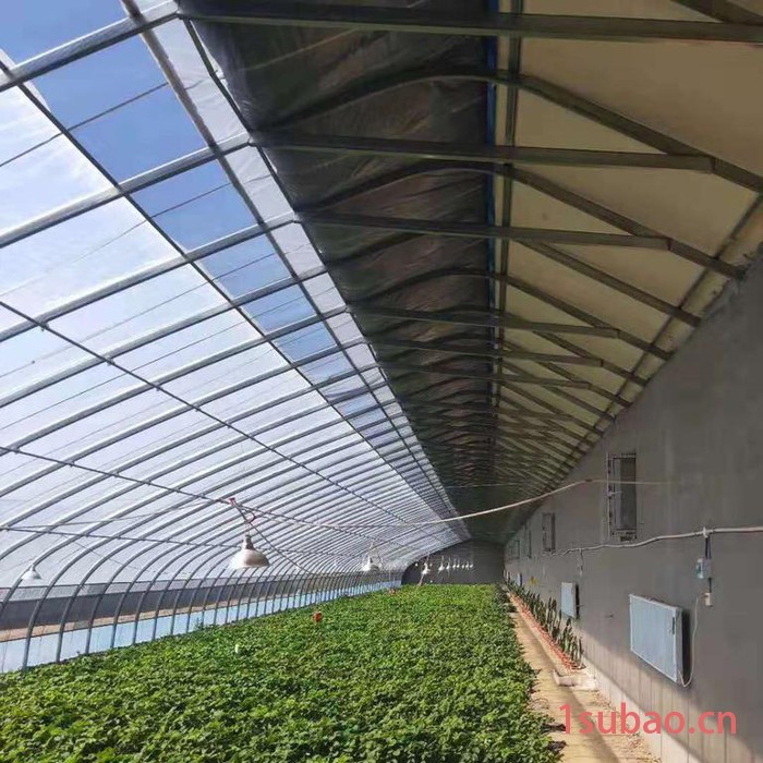 养殖大棚 黑白膜大棚膜图4