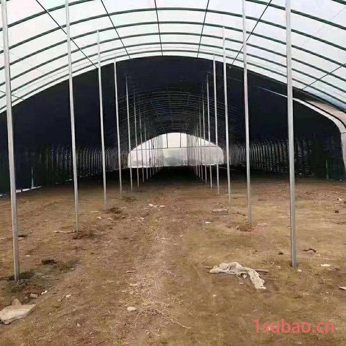 养殖大棚 黑白膜大棚膜图3