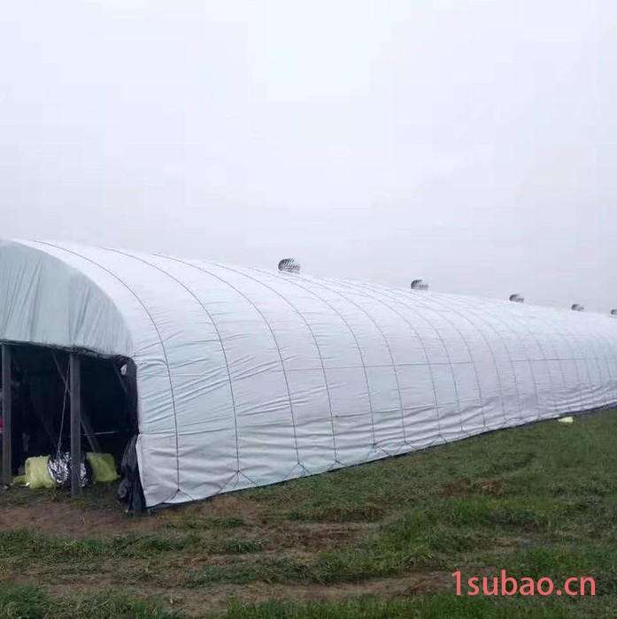 养殖大棚 黑白膜大棚膜图7