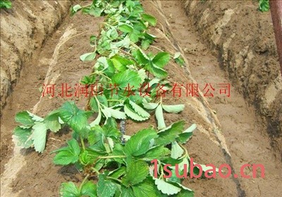 陕西蔬菜滴灌管价格 大棚膜下滴灌管厂家