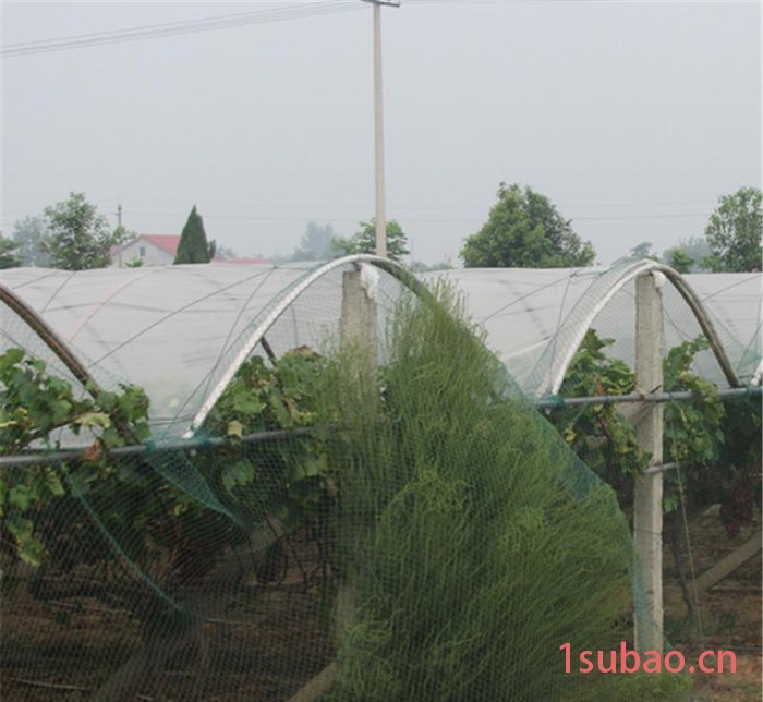**大棚膜黑白色地膜薄膜包装膜三层共挤膜生产图2