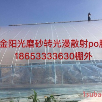 金阳光 齐大 大棚膜