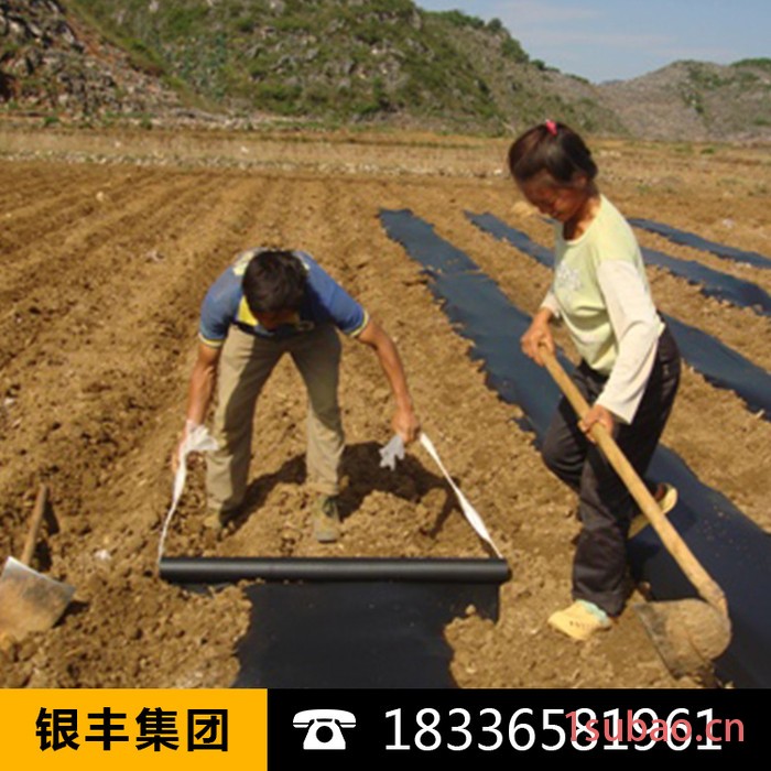 华丰新料PE黑色 地膜 农用塑料黑薄膜蔬菜温室遮光大棚膜除草膜图5