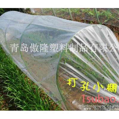 LDPE塑料小棚膜/打孔小棚膜