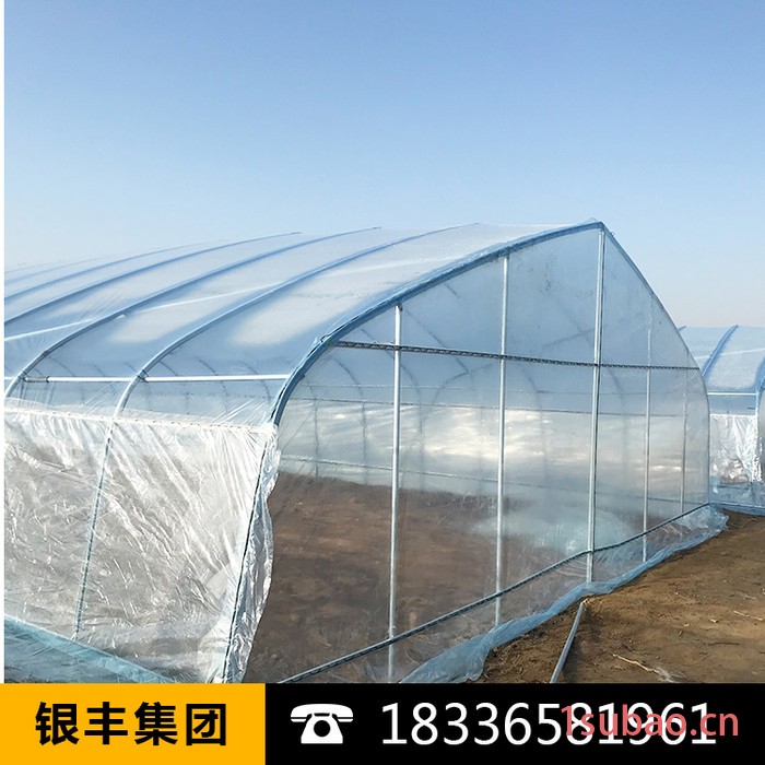 大棚膜|大棚膜价格|大棚膜生产厂家|河南大棚膜-河南银丰图7