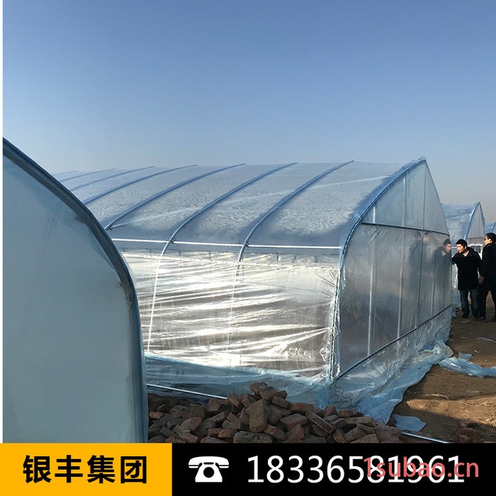 大棚膜|大棚膜价格|大棚膜生产厂家|河南大棚膜-河南银丰图8