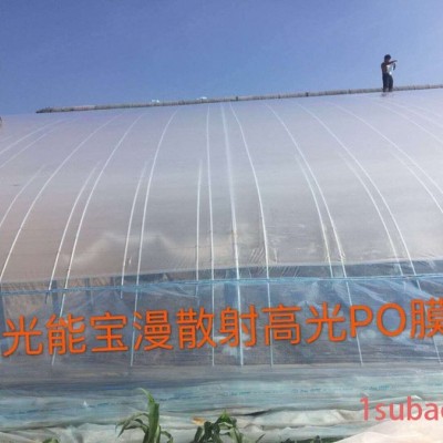 金阳光PO膜  齐大 天喜棚膜