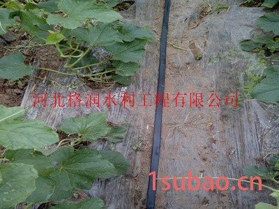 山西大棚膜下蔬菜滴管带 大棚膜下滴灌带厂家图2